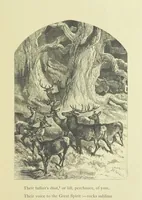 An illustration from Gertrude of Wyoming ... With thirty-five illustrations engraved by the Brothers Dalziel (1857)