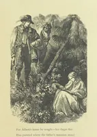 Picture 17 of 35 from Gertrude of Wyoming ... With thirty-five illustrations engraved by the Brothers Dalziel (1857), leaf 49