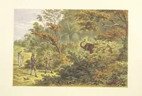 An illustration from The Duke of Edinburgh in Ceylon. A book of elephant and elk sport ... Illustrated with chromo-lithographs, etc (1871)
