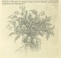 Picture 27 of 56 from Traits and Stories of the Irish Peasantry ... Fourth edition (1864), leaf 198