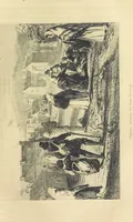 Picture 38 of 56 from Traits and Stories of the Irish Peasantry ... Fourth edition (1864), leaf 313