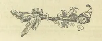 Picture 5 of 56 from Traits and Stories of the Irish Peasantry ... Fourth edition (1864), leaf 60