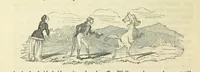 Picture 8 of 56 from Traits and Stories of the Irish Peasantry ... Fourth edition (1864), leaf 72