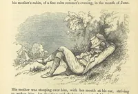 Picture 11 of 56 from Traits and Stories of the Irish Peasantry ... Fourth edition (1864), leaf 88