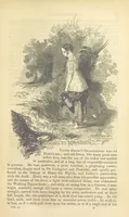 An illustration from Traits and Stories of the Irish Peasantry ... Fourth edition (1864)