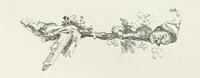 An illustration from Traits and Stories of the Irish Peasantry ... Fourth edition (1876)