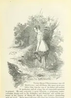 An illustration from Traits and Stories of the Irish Peasantry ... Fourth edition (1876)