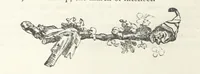 An illustration from Traits and Stories of the Irish Peasantry ... Fourth edition (1876)