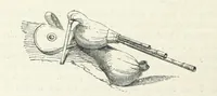 An illustration from Traits and Stories of the Irish Peasantry ... Fourth edition (1876)