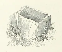 An illustration from Traits and Stories of the Irish Peasantry ... Fourth edition (1876)