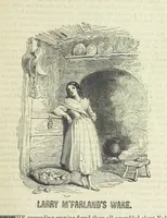 An illustration from Traits and Stories of the Irish Peasantry ... Fourth edition (1881)
