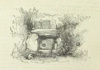 An illustration from Traits and Stories of the Irish Peasantry ... Fourth edition (1881)