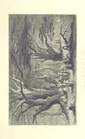An illustration from Syria, the Holy Land, Asia Minor, &c., illustrated. In a series of views drawn from nature by W. H. Bartlett, William Purser (Thomas Allom), &c. With descriptions of the plates by J. Carne. [With maps (1853)