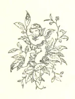 An illustration from Del Atlántico al Pacífico y un Argentino en Europa. Cartas de viaje, etc (1890)