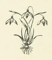Picture 1 of 4 from Society's Queen. A novel (1883), leaf 74