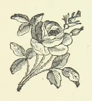 Picture 2 of 4 from Society's Queen. A novel (1883), leaf 81