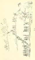 An illustration from Catlin's Notes of Eight Years' Travels and Residence in Europe, with the North American Indian Collection. With anecdotes and incidents of the travels and adventures of three different parties of American Indians, whom he introduced to the Courts of England, France and Belgium (1848)
