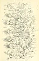 An illustration from Catlin's Notes of Eight Years' Travels and Residence in Europe, with the North American Indian Collection. With anecdotes and incidents of the travels and adventures of three different parties of American Indians, whom he introduced to the Courts of England, France and Belgium (1848)