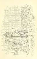 An illustration from Catlin's Notes of Eight Years' Travels and Residence in Europe, with the North American Indian Collection. With anecdotes and incidents of the travels and adventures of three different parties of American Indians, whom he introduced to the Courts of England, France and Belgium (1848)