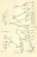 An illustration from Catlin's Notes of Eight Years' Travels and Residence in Europe, with the North American Indian Collection. With anecdotes and incidents of the travels and adventures of three different parties of American Indians, whom he introduced to the Courts of England, France and Belgium (1848)