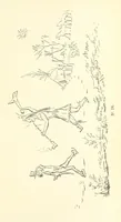 An illustration from Catlin's Notes of Eight Years' Travels and Residence in Europe, with the North American Indian Collection. With anecdotes and incidents of the travels and adventures of three different parties of American Indians, whom he introduced to the Courts of England, France and Belgium (1848)