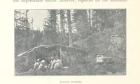 Picture 39 of 49 from Korea and the Sacred White Mountain ... with an account of an ascent of the White Mountain by Captain H. E. Goold-Adams. With ... illustrations and ... maps (1894), leaf 226