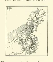 An illustration from Logroño. A metric drama in two acts ... With twenty-nine illustrations by T. Walter Wilson (1877)