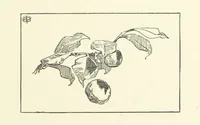 An illustration from Logroño. A metric drama in two acts ... With twenty-nine illustrations by T. Walter Wilson (1877)