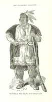 An illustration from The History of Champaign County, Ohio, containing a history of the county [by J. W. Ogden] ... history of Ohio, etc., etc. Illustrated (1881)