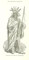 An illustration from The History of Champaign County, Ohio, containing a history of the county [by J. W. Ogden] ... history of Ohio, etc., etc. Illustrated (1881)