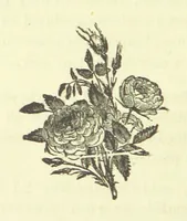 An illustration from Chandrahāsa. An ancient Indian monarch. A romance (1881)