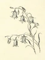 An illustration from More Precious than Gold (1889)