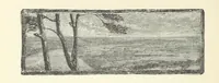 An illustration from More Precious than Gold (1889)