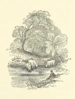 An illustration from More Precious than Gold (1889)