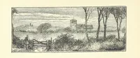 An illustration from More Precious than Gold (1889)