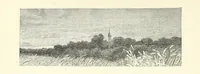 An illustration from More Precious than Gold (1889)