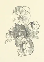 An illustration from More Precious than Gold (1889)
