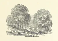 An illustration from More Precious than Gold (1889)