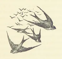 An illustration from The Lairds and Lands of Loch Tayside (1892)