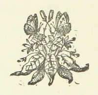 An illustration from From the Plough to the Pulpit, viâ Cambridge. [A novel (1874)