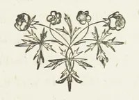 An illustration from From the Plough to the Pulpit, viâ Cambridge. [A novel (1874)
