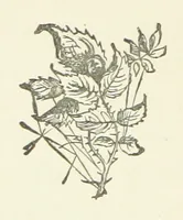 An illustration from From the Plough to the Pulpit, viâ Cambridge. [A novel (1874)