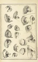 An illustration from Valentine Verses; or, Lines of truth, love, and virtue. [With plates, lithographed by the author (1827)