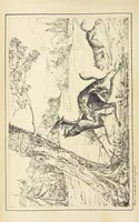 An illustration from Valentine Verses; or, Lines of truth, love, and virtue. [With plates, lithographed by the author (1827)