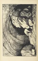 An illustration from Valentine Verses; or, Lines of truth, love, and virtue. [With plates, lithographed by the author (1827)