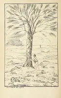 Picture 57 of 104 from Valentine Verses; or, Lines of truth, love, and virtue. [With plates, lithographed by the author (1827), leaf 258