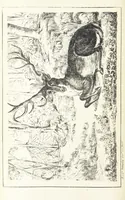 An illustration from Valentine Verses; or, Lines of truth, love, and virtue. [With plates, lithographed by the author (1827)