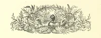 An illustration from On Foot through Wharfedale: descriptive & historical notes of the towns and villages of Upper & Lower Wharfedale. [With illustrations and a map (1882)