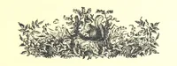 An illustration from On Foot through Wharfedale: descriptive & historical notes of the towns and villages of Upper & Lower Wharfedale. [With illustrations and a map (1882)