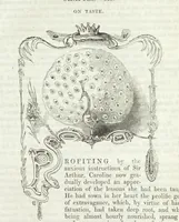 Picture 18 of 59 from The Sisters; or, the Fatal marriages ... Illustrated with fifty-eight engravings by Kenny Meadows and Alfred Crowquill: a portrait of the author: and twenty-two etchings on steel, by Onwhyn. Second edition, with additions (1851), leaf 73